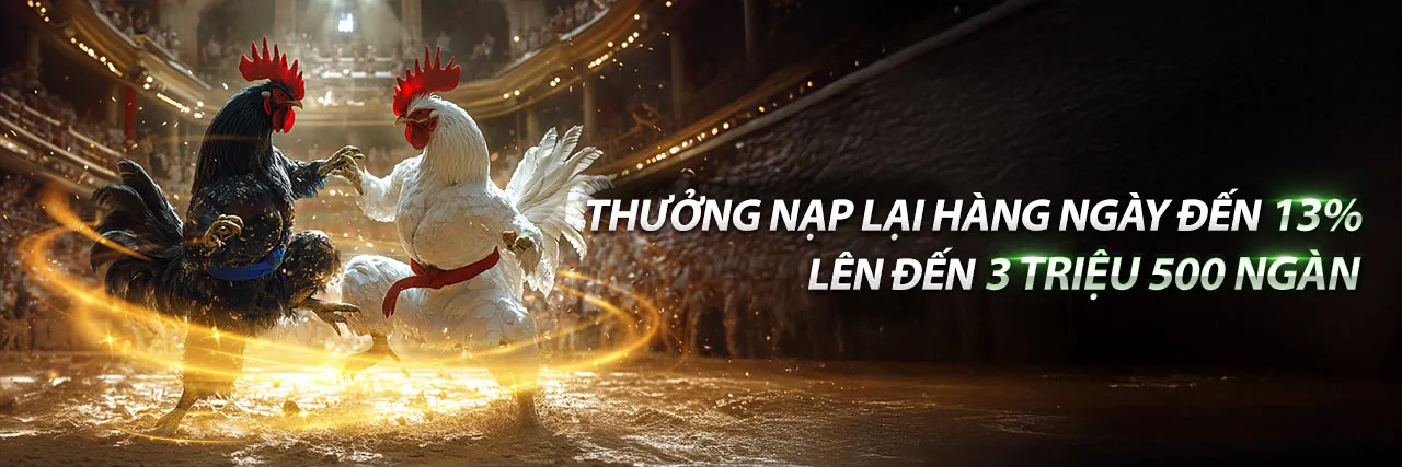 Cá cược thể thao tại cc888p